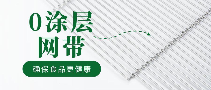 油炸機網(wǎng)帶“0 涂層”工藝，確保食品更健康